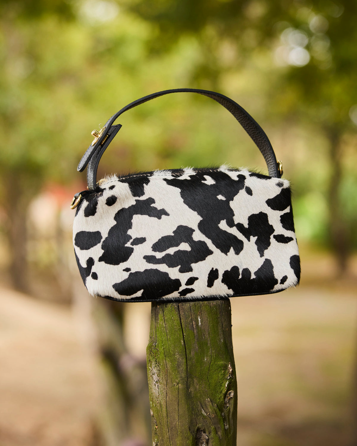 CARTERA VACHETTA