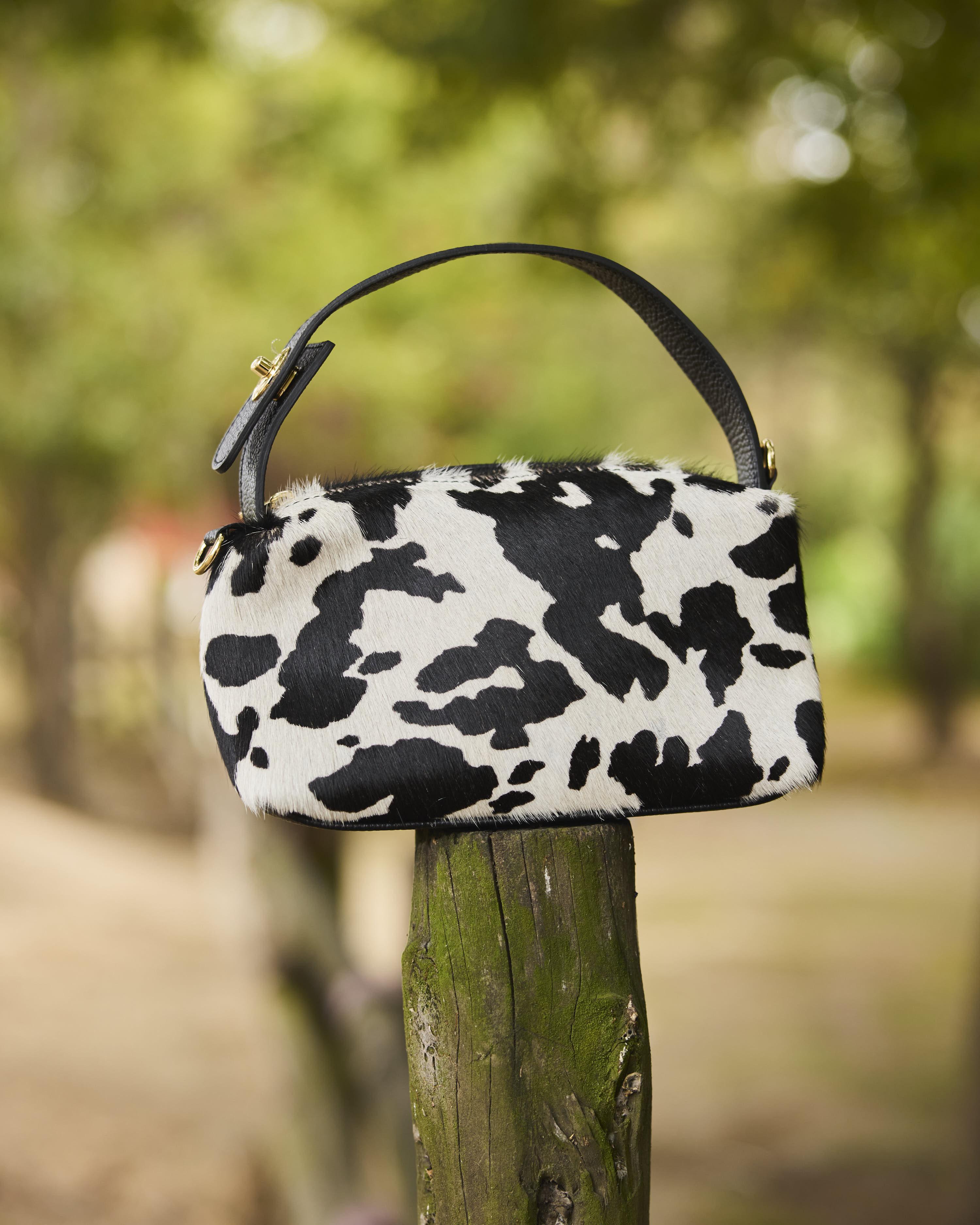 CARTERA VACHETTA
